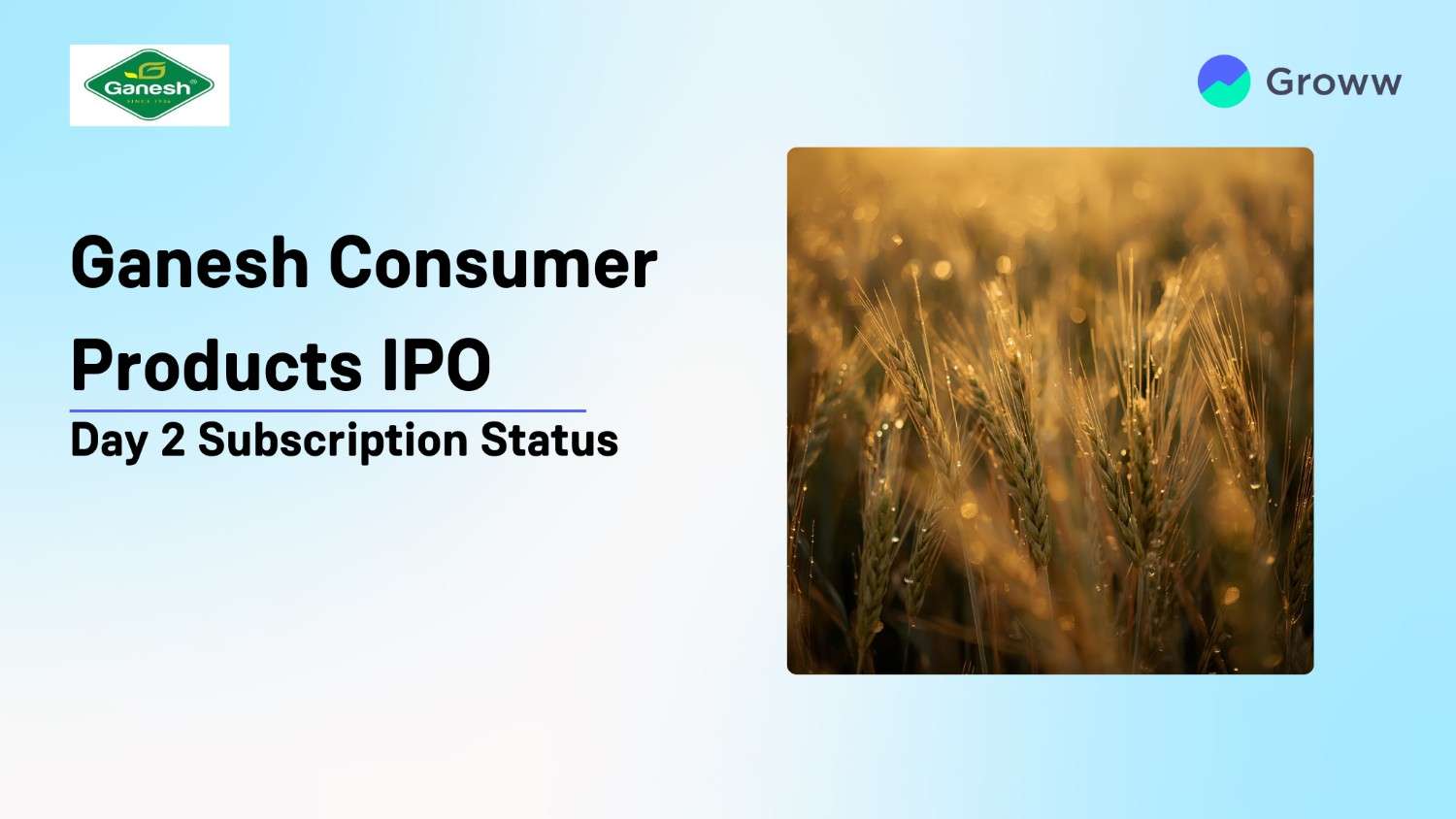 Ganesh Consumer IPO Day 2: Check Subscription Status, GMP & Key Highlights