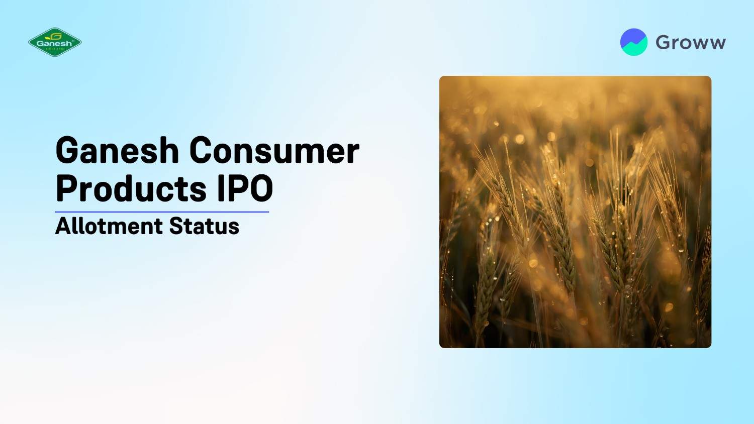 Ganesh Consumer IPO Allotment Status: Check Latest GMP, Steps to Verify Status