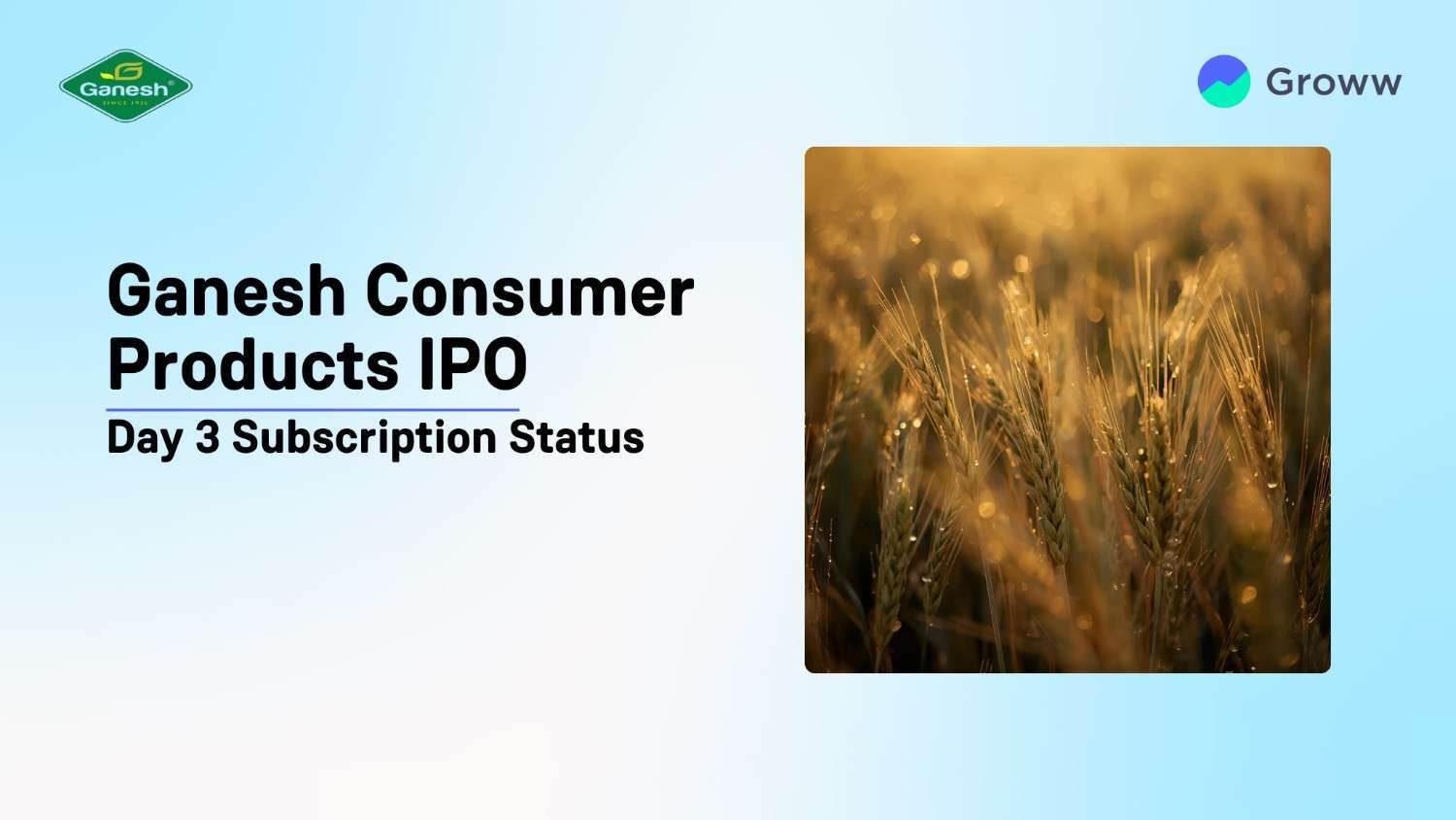 Ganesh Consumer IPO Day 3: Check Subscription Status, GMP & Key Highlights