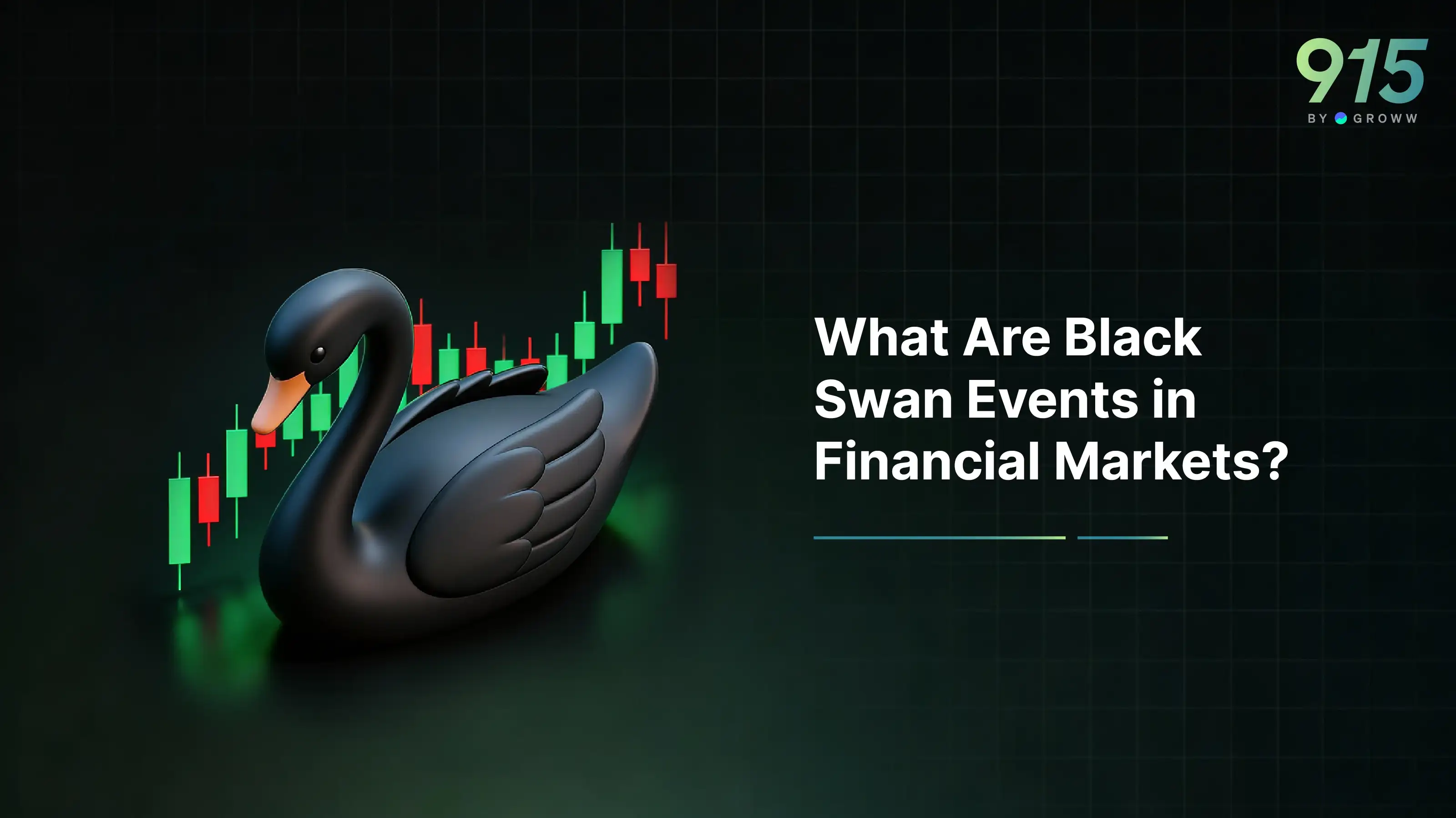 What Are Black Swan Events in Financial Markets?