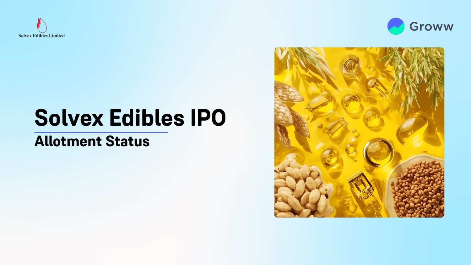 Solvex Edibles IPO Allotment Status, Check Latest GMP, Steps To Verify Status